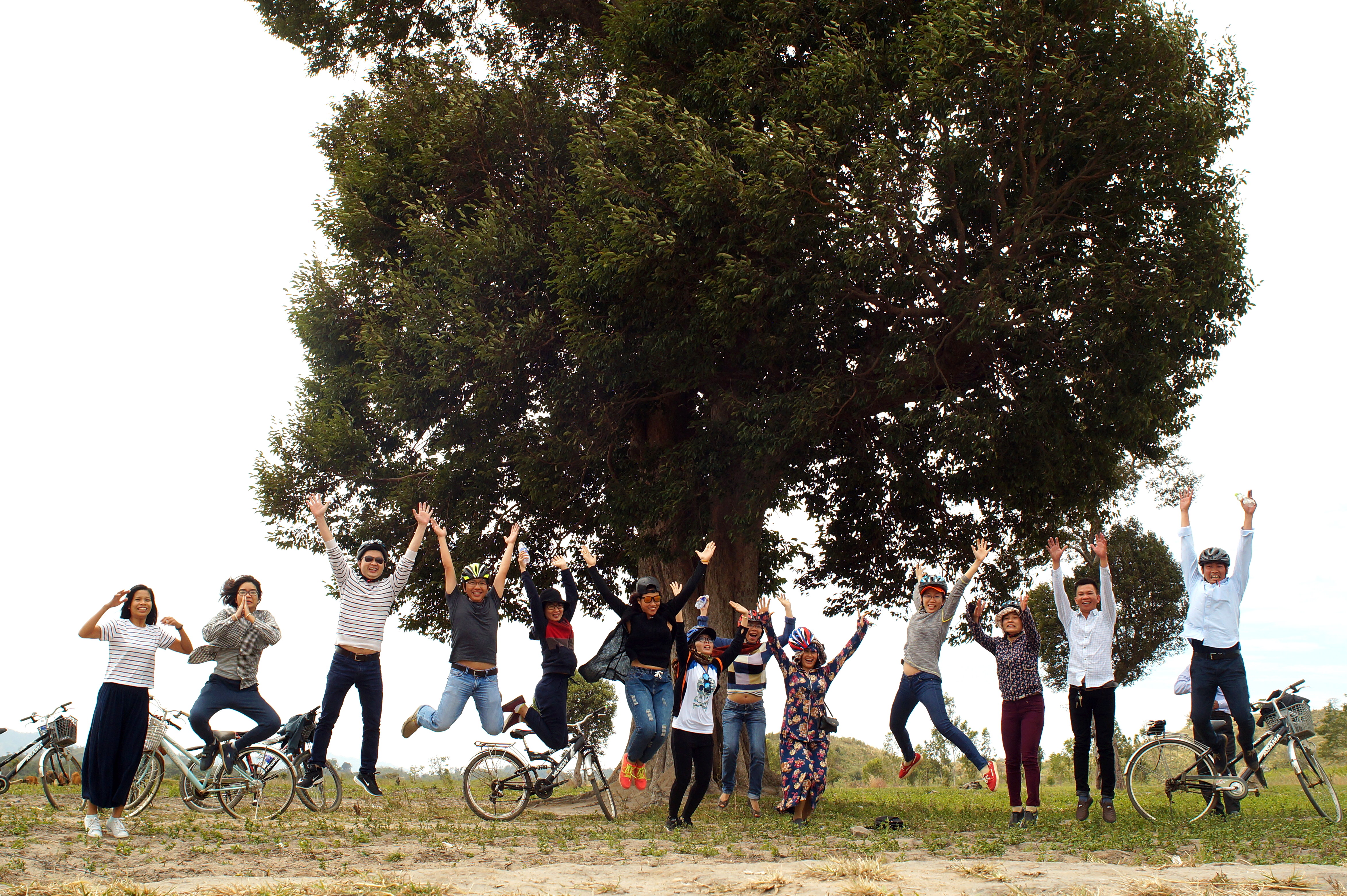 Our team work and Community