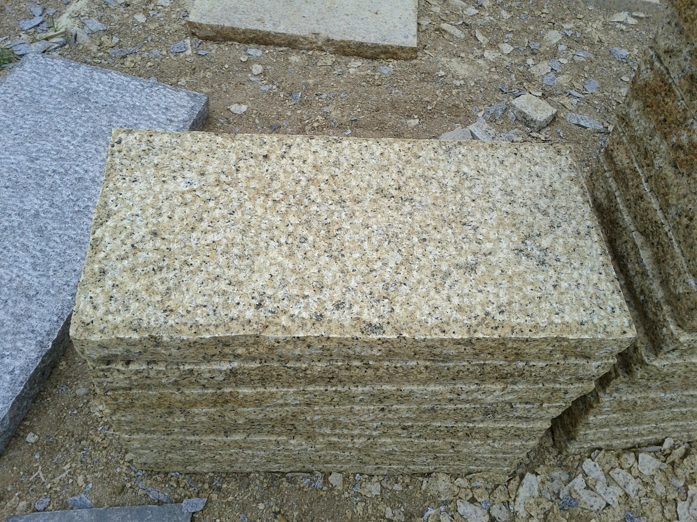 Granite paver/stepping