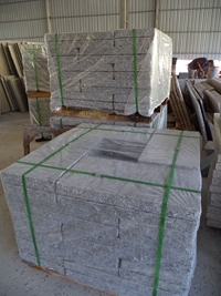 Granite paver/stepping