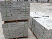 Granite paver/stepping